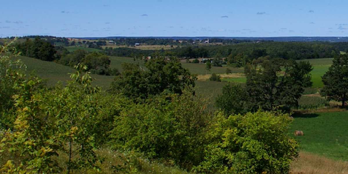 Turning Organic Waste Into Value