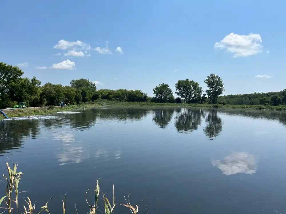 A picture of a full lagoon